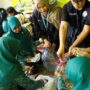 proses pembuatan POC (pupuk organik Cair) oleh UB